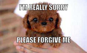 8 im sorry please forgive me help me find love